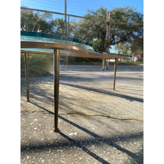 Rare Boomerang Coffee Table With Thick Glass Top + Tall Brass Legs | Mid Century Modern For Sale - Image 13 of 13