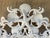 Vintage Coastal Cast Iron Shell & Starfish Wall Mirror For Sale - Image 9 of 15