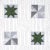 Sample - Schumacher x Backdrop Alexander Wallpaper in Dutch Green & Slate For Sale In Charlotte - Image 6 of 6