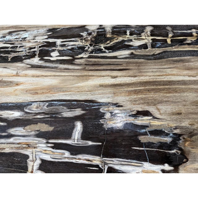 Andrianna Shamaris Live Edge Petrified Wood Dining Table For Sale - Image 4 of 18