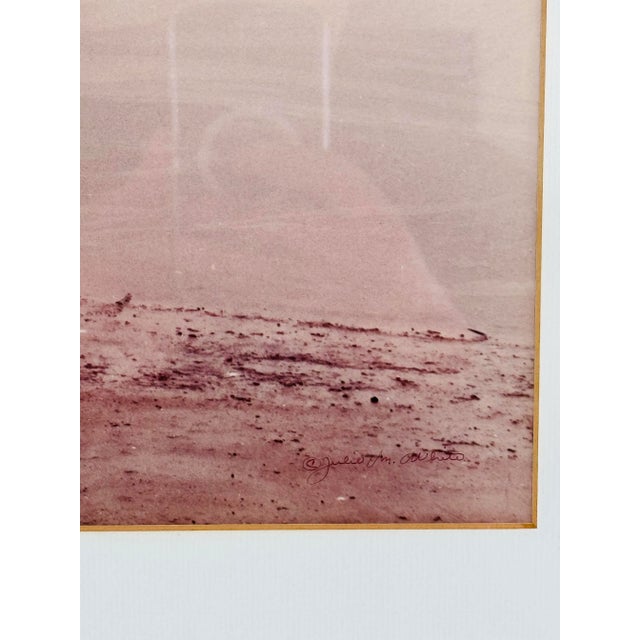 1970s Vintage 1970s Cape Cod “Susan” Photo by Julie M. White For Sale - Image 5 of 5