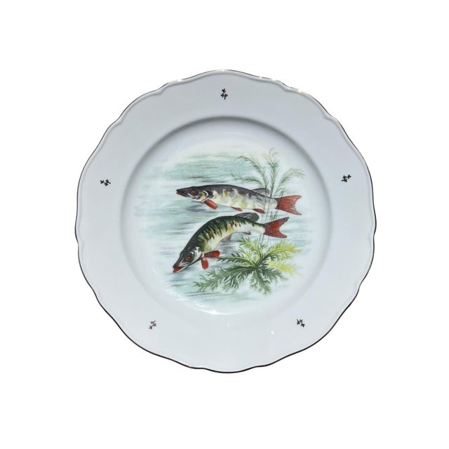 Limoges Fish Motif Dinnerware Set of 11 Plates Plus Oval Platter by Porceleaines De Couleuvre For Sale - Image 9 of 12