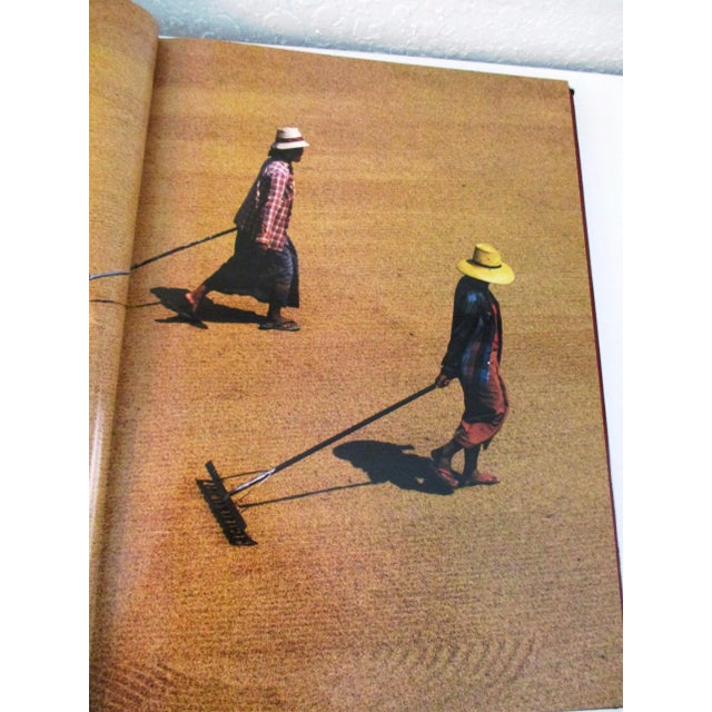 Vintage Thailand the Beautiful Cookbook For Sale - Image 11 of 13