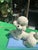 Ceramic Vintage Ceramic Sitting Poodle Table Lamp For Sale - Image 7 of 7