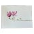 Nancy Smith Signed Original Watercolor Botanical "Magnolia" For Sale