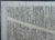 Early 21st Century Turkish Tulu Handmade Rug 8'8" x 12'9" #20339 For Sale - Image 5 of 8