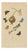 Aug. Duméril, Polyommatus Butterflies and Caterpillars, 1830, Engraving For Sale