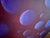 Paul Brach, Spheres Blue Bolero Pop Art Abstract Oil Painting New York School For Sale In Miami - Image 6 of 13