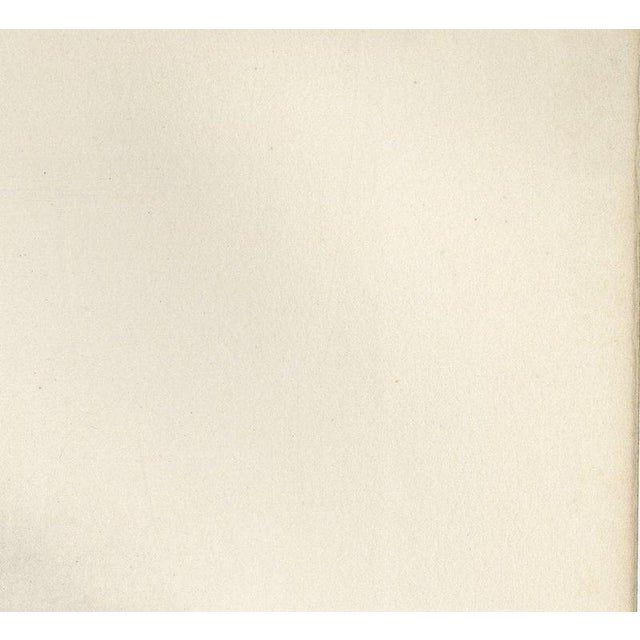 Beige After Lilian Medland, Gannet, 1909, Print For Sale - Image 8 of 12