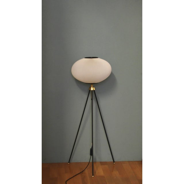 - German floor lamp from the 1950s - Tripod - Height-adjustable between 100cm - 140cm - toroidal pleated shade - Very...