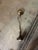 Vintage Pendant Lights- Needs Restoration - a Pair For Sale - Image 9 of 10