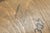 Pair Antique J & J Kohn Mundus Model 337 Bentwood Cafe Chairs Iris Marquetry Seats For Sale - Image 9 of 17