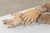 Wood Forearms of a Dressed Saint, Early 20th Century, Pinewood, Set of 2 For Sale - Image 7 of 9