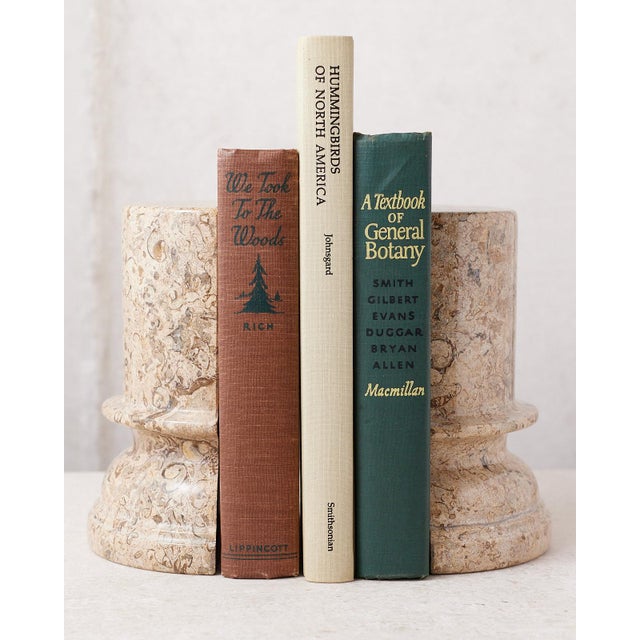 Fossilized Stone Bookends For Sale In Dallas - Image 6 of 9