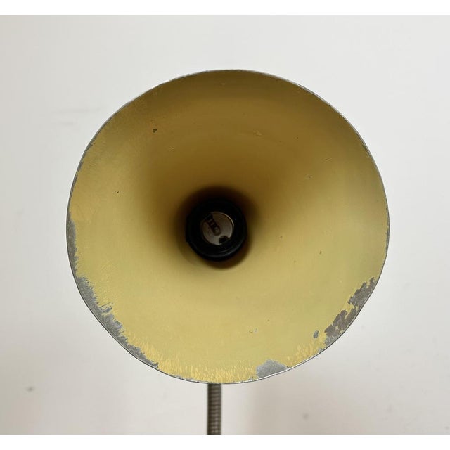 Vintage Gooseneck Table Lamp, 1950s For Sale - Image 18 of 18