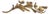 Regina Andrew Dogwood Sprig For Sale