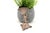 Silver Toothpick Holder with Cherub and Fan For Sale - Image 4 of 6