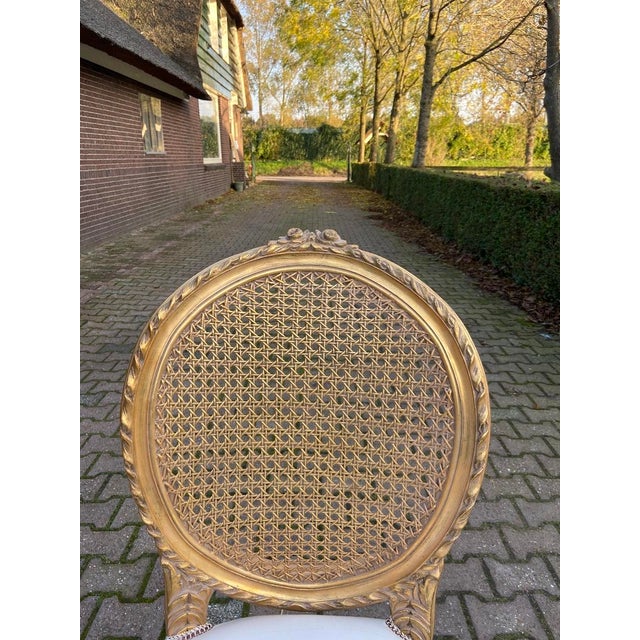 1970s French Louis XVI Gold Beech Cane Dining Chairs – 4 PCS For Sale - Image 13 of 18