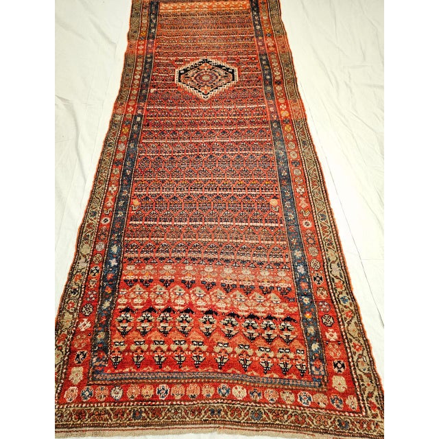 Vintage Persian Kurdish Bidjar Wide Runner Rug, Hand-Knotted Wool, Paisley Pattern, Terracotta & Blue, 4x11 For Sale - Image 12 of 12