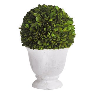 Boxwood Ball Topiary In Pot Small For Sale
