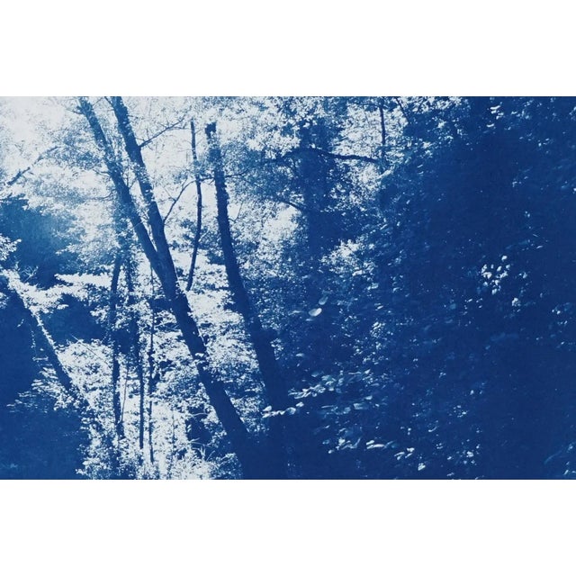 Paper 2020 Kind of Cyan, Contemporary Cyanotype of Scandinavian Enchanted Forest For Sale - Image 7 of 12
