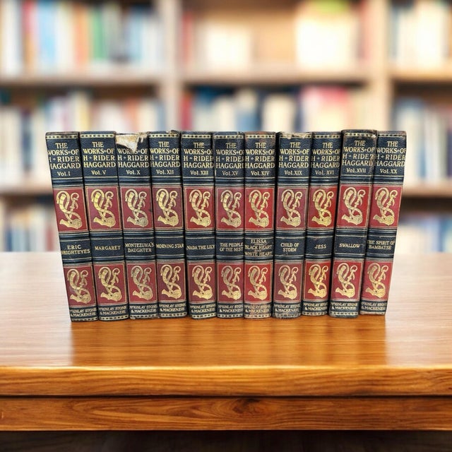 Antique Hardcover Books-Set of 11 the Works of H Rider Haggard For Sale - Image 4 of 12