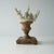 Late 20th Century Faux Coral Assemblage on an Antique Italian Urn Decorative Sculpture For Sale - Image 5 of 15