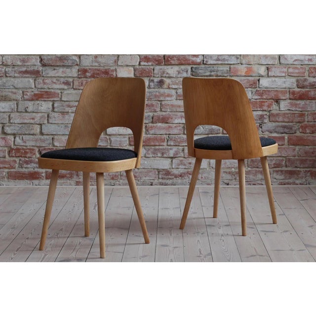 Dining Chairs by Oswald Haerdtl, 1950s, Set of 8 For Sale - Image 6 of 18