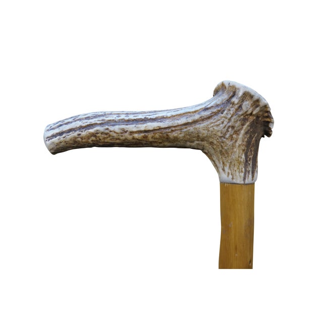 English Vintage Wooden Elk Stag Horn Antler Handle Walking Stick Cane For Sale - Image 3 of 12