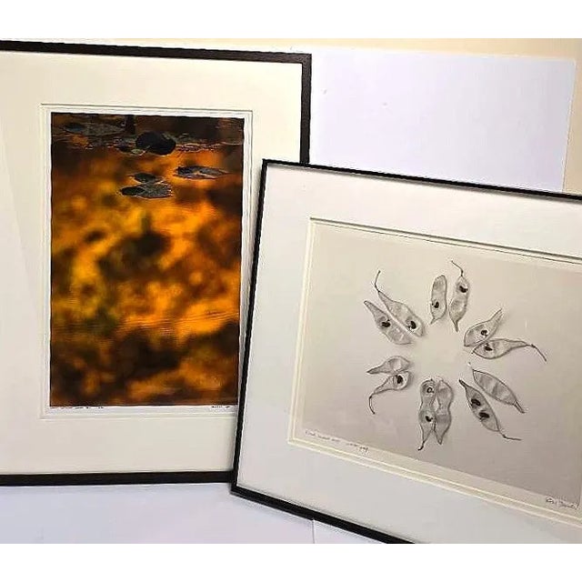 Bill Pusztai is a Canadian fine art photographer celebrated for his thoughtful, often botanical imagery that blurs the...