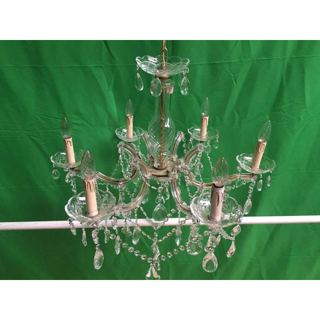 Crystal Chandelier, 1950s For Sale - Image 12 of 18