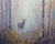 Sean Wu Original Oil Painting of Deer For Sale