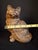 Antique Cast Iron Seated Cat Doorstop Vintage Orange Painted Feline Figure 4lb For Sale - Image 15 of 18