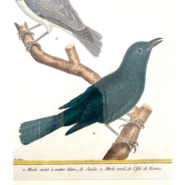 Illustration Antique 18th Century Bird Copper Plate Engraving by François-Nicolas Martinet For Sale - Image 3 of 12