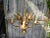 1970s Mid-Century Sheaf of Wheat Chandelier For Sale - Image 5 of 8