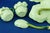 Art Nouveau Strawberry Service in Vitrified Majolica by George Jones, England, 1882, Set of 5 For Sale - Image 18 of 18