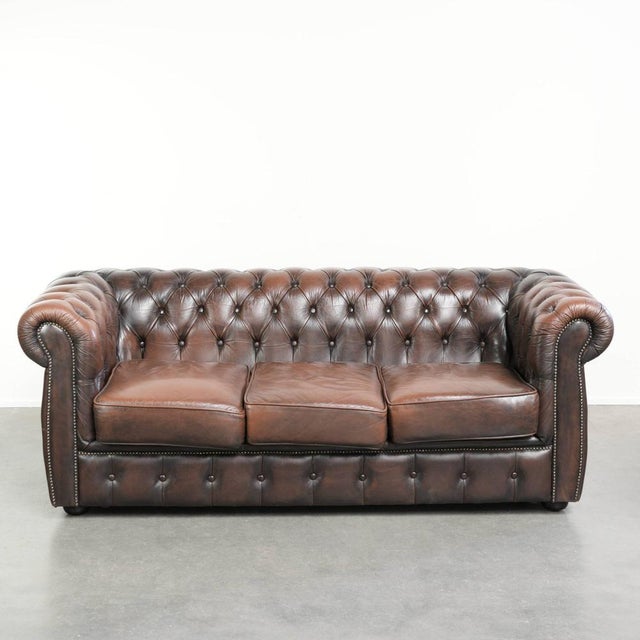 English Style Brown Cowhide Chesterfield 3-Seater Sofa For Sale - Image 12 of 12