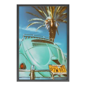 California Beetle by Jens Ochlich Print with Black Frame - 20 X 30