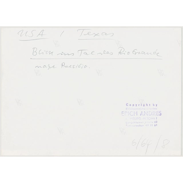 Cacti, Rio Grande, USA, 1960s, Black & White Photograph For Sale - Image 4 of 5