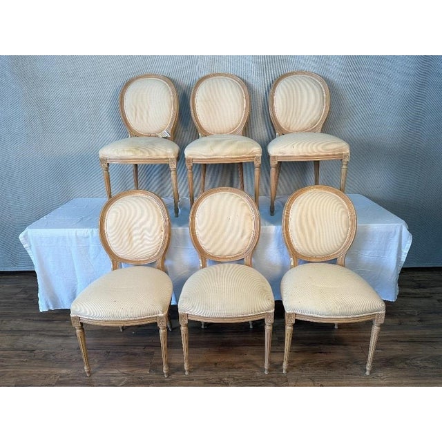 Country French Dining Chairs Set of 6 Chairish