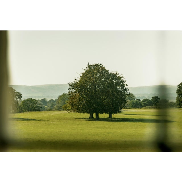 Guy Sargent, The Garden 3, Archival Pigment Print For Sale