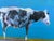 Moooo Cow Original Painting by Joseph Christy For Sale - Image 10 of 10