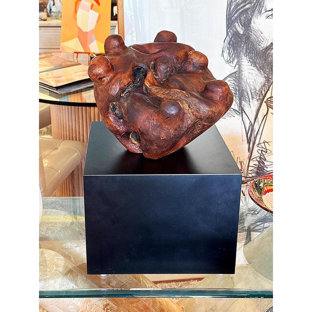 Biomorphic Mid-century Abstract Burlwood Sculpture on a Base Offered for sale is a mid-century abstract sculpture that...