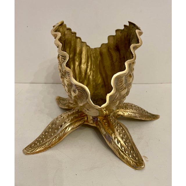 Brass Brass Seashell Nautilus Planter on Starfish Base For Sale - Image 8 of 8