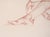 "The Artists Wife" Realistic Nude Woman in Conté on Paper by Garth Benton by Garth Benton For Sale - Image 4 of 8