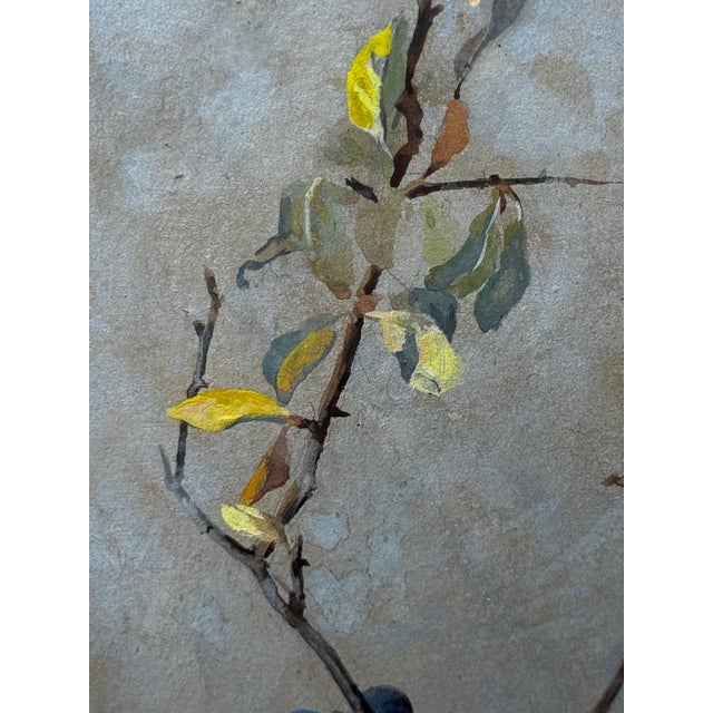 1900 - 1909 Victorian Watercolour Painting Apple Blossom Eurasian Blue Tit Bird Ornithology by Arthur Wardle For Sale - Image 5 of 12