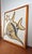Mid-Century Modern Hand Carved Stone Wall Relief with Fish Design, 1960s, in Very Good conditions. Designed 1960 to 1969