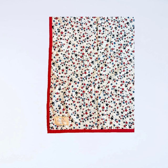 Vintage Handmade Americana Patchwork Quilt by Piedmont Quilters Guild For Sale In Greensboro - Image 6 of 7