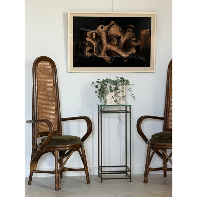 Irene Miller Stein Signed Framed Abstract Black White Serigraph Earth Fertility For Sale - Image 6 of 18