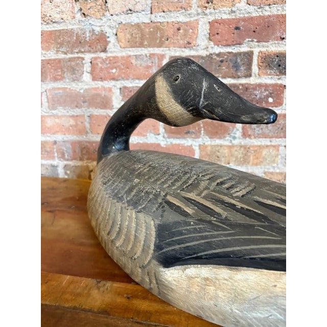 Master-Carved Antique Folk Art Preening Canada Goose Decoy For Sale - Image 4 of 18